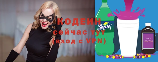 молекула духа Арсеньев