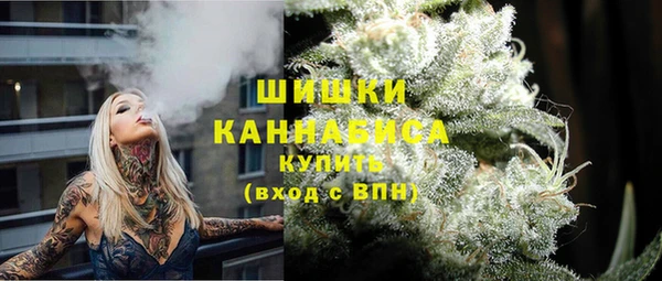 молекула духа Арсеньев