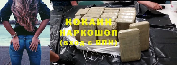 молекула духа Арсеньев