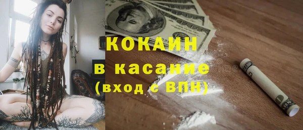 молекула духа Арсеньев