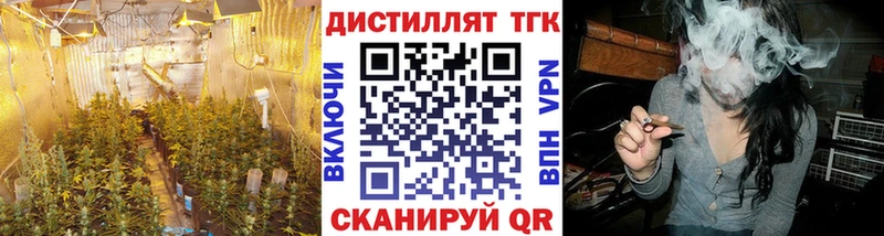 маркетплейс наркотические препараты  блэк спрут ССЫЛКА  Сальск  ТГК концентрат 