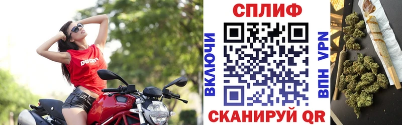 Конопля MAZAR Сальск